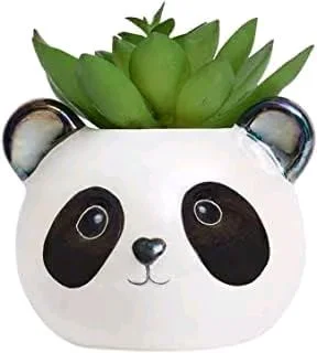 Panda Planter 🤌