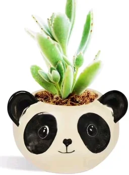 Panda Planter 🤌