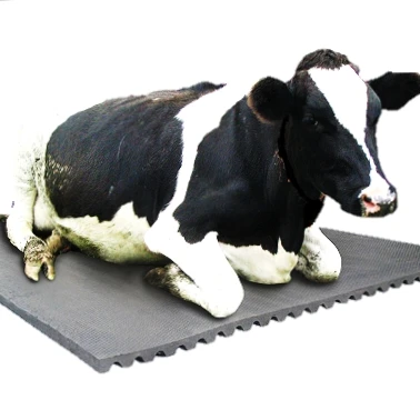 COW MATT - Cornflower Blue
