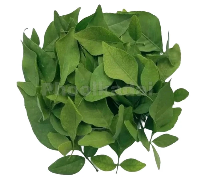 Vilvam /  Bilva Leaves