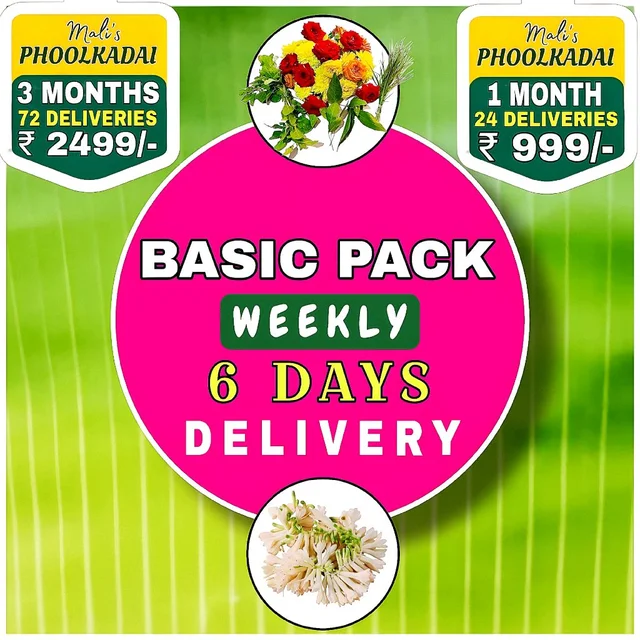 Basic Pack 