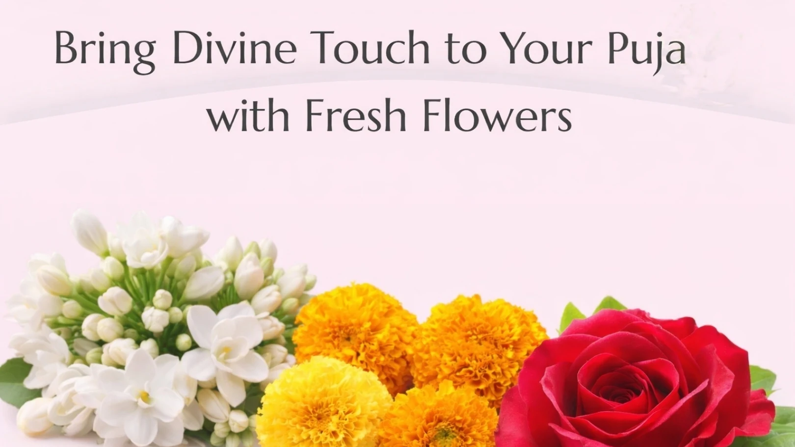 Fresh Flowers