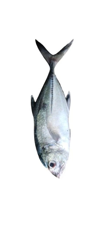 Kukari