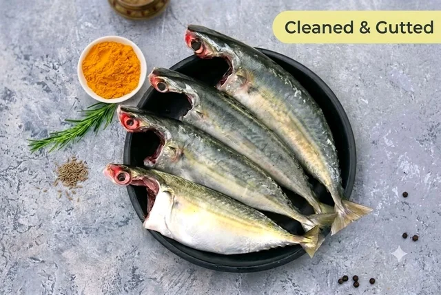 FreshFin Bangdi - Big, 1KG, Cleaned & Gutted