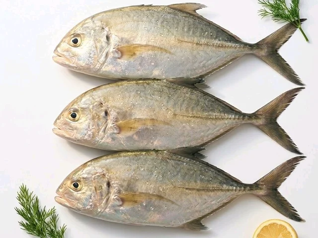 FreshFin Kukari - medium, 1.5kg, whole/ Uncut
