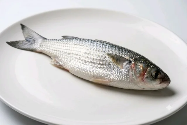 FreshFin Farsha - medium, 0.8Kg, Whole/ Uncut