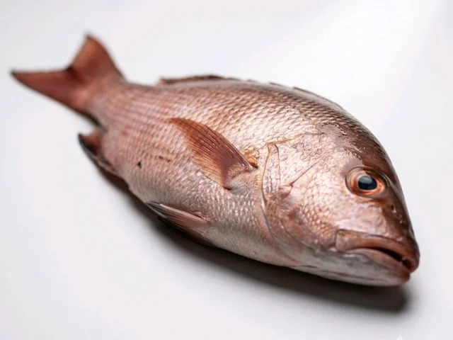 Lal Betki - medium, 6kg, Whole / Uncut