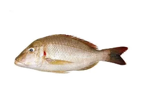 Kushal - medium, 0.9kg, Whole / Uncut
