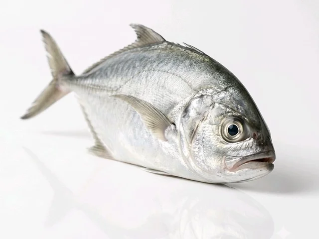 freshFin Kukari ( Cleaned & Cut) - Big, 500g, Cleaned & Cut pieces