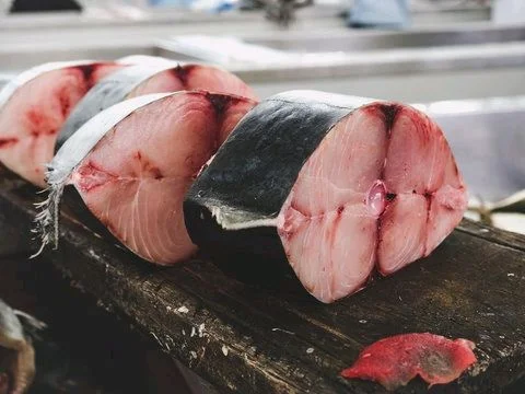 Shark Fish - medium, 2 KG, whole ( Uncut)