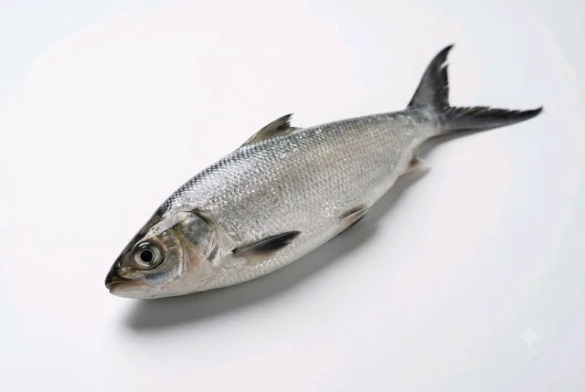 FreshFin Ruhi - medium, 7.5kg, Whole / Uncut