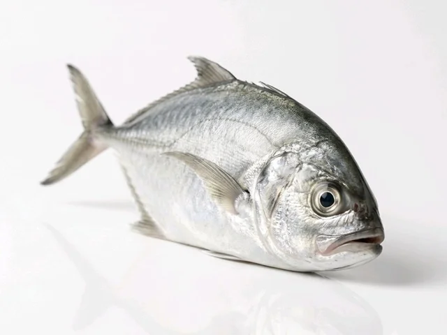 freshFin Kukari - medium, 2kg, whole/ Uncut