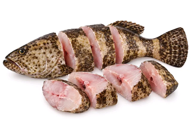 freshFin Gobra - medium, 1.1kg, Cleaned & Cut