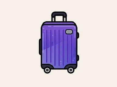Mini suitcase