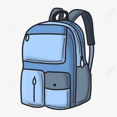 LAPTOP BAGS