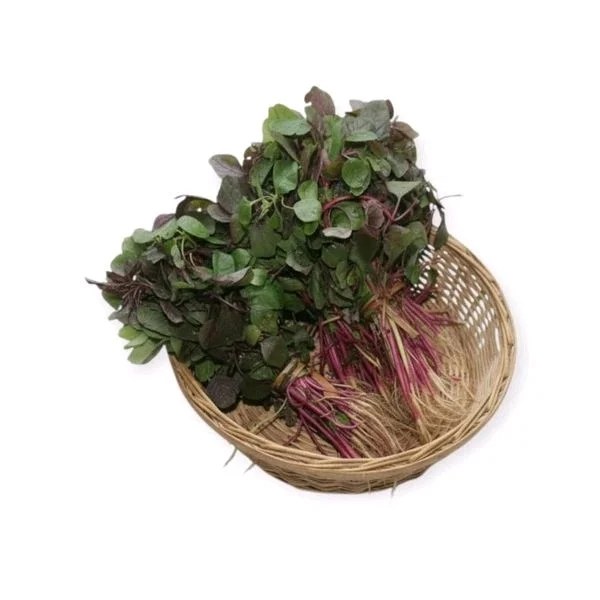 Odisha Koshala Saaga – Amaranth Leaves