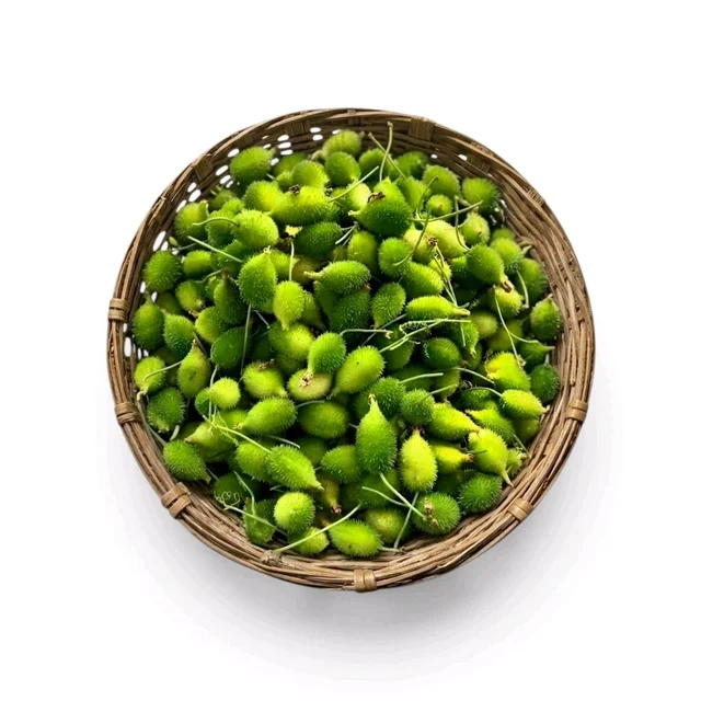 Odisha Spine Gourd – Kankada