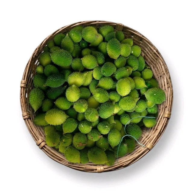 Koraput Desi Junglee Kankada (Spine Gourd) – Naturally Wild Harvested from the Forest