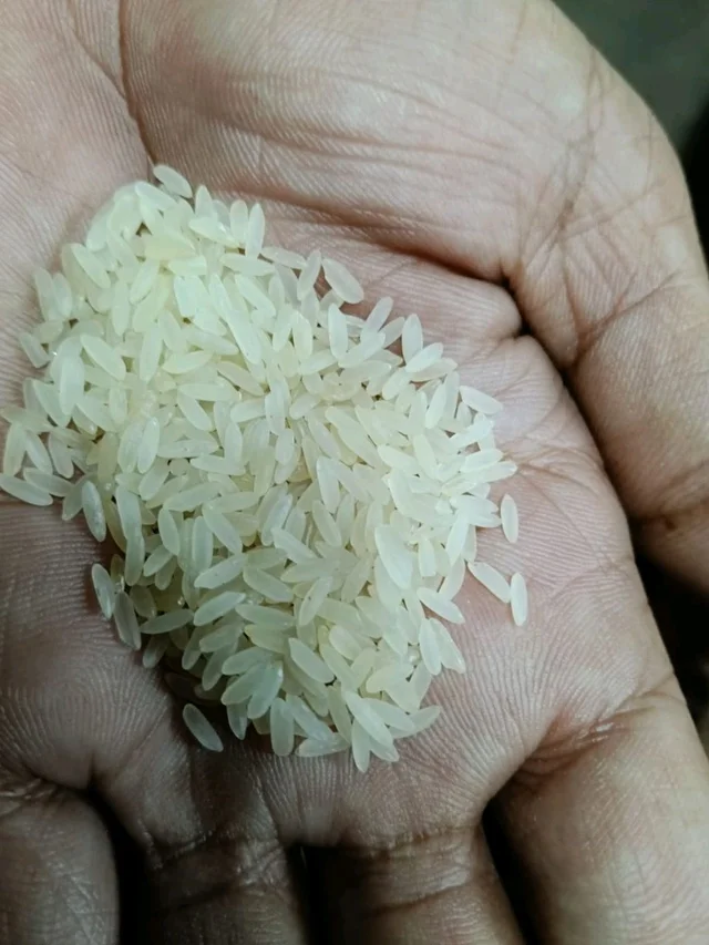Odisha Usuna Chaula (Good Quality) (size: small): 1 kg
