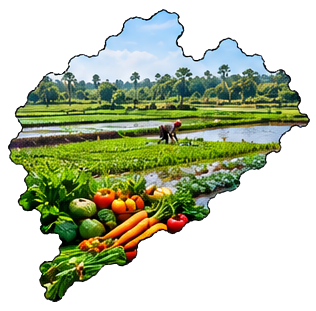 Bhadrak