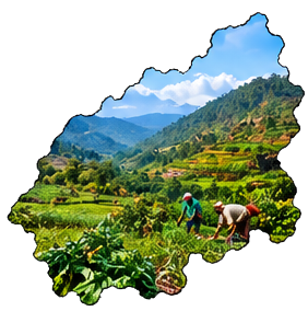 Kandhamal