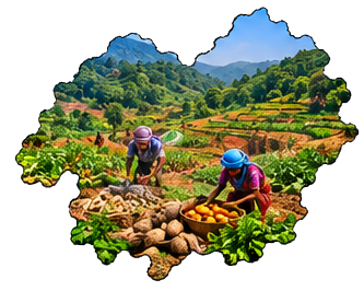 Koraput