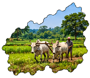 Mayurbhanj