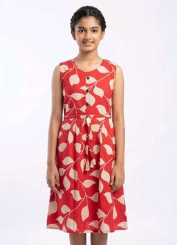 Girls Beautiful frock (4014)