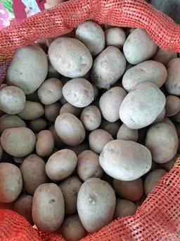 Potato সাদা আলু