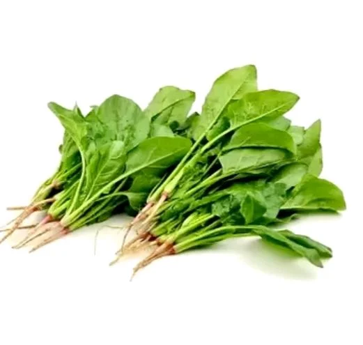 Spinach পালন শাক Bunch