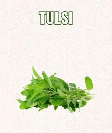 Tulsi