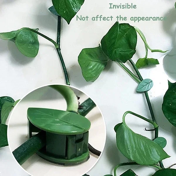10 Pcs Leaf Shape Climbing Plant, Wall Vine Climbing Plant Support Hook Self-Adhesive Vines Traction Clips Leaf Shape Plant Fixer, Wire Fixing Cable Organizer with Adhesive Sticker