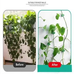 10 Pcs Leaf Shape Climbing Plant, Wall Vine Climbing Plant Support Hook Self-Adhesive Vines Traction Clips Leaf Shape Plant Fixer, Wire Fixing Cable Organizer with Adhesive Sticker
