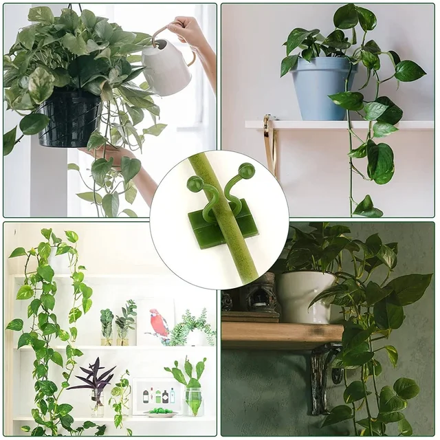 30PCS WALL PLANT CLIMBING CLIP