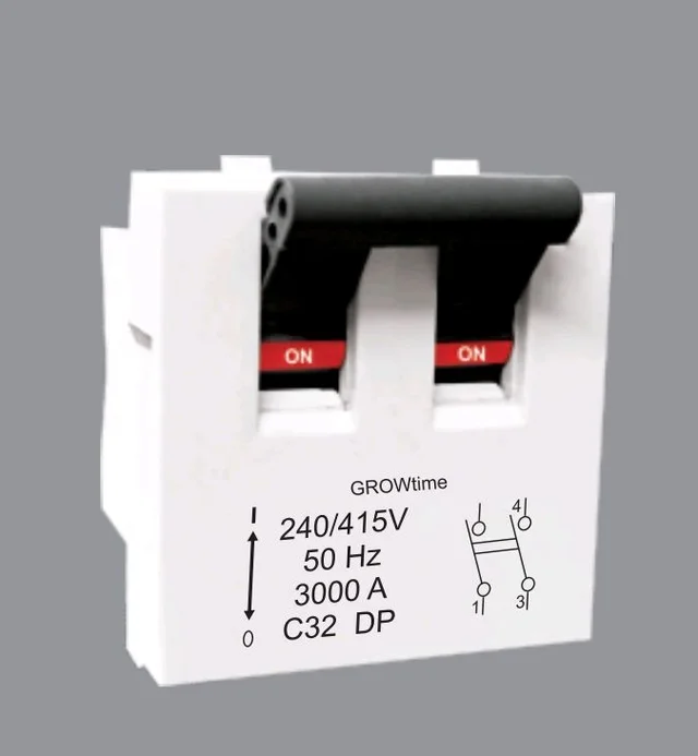 32A DP MCB 'C Series'