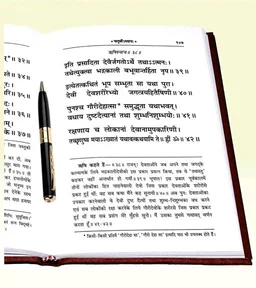 Catalog Name:*Shri Durga Saptshati (Sachitra)(Hindi Anuvad Tatha Path-Vidhi-Sahit)(Special Edition) / Shri Durga Saptsati / Shri Durga Sapt Shati / Shri Durga Sapt Sati (Code 1281)(Geeta Press) (Hardcover, Hindi, Gita Press, Gorakhpur)*
Author: Gita Press Gorakhpur