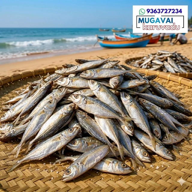 அயலை|Indian Mackerel|അയല