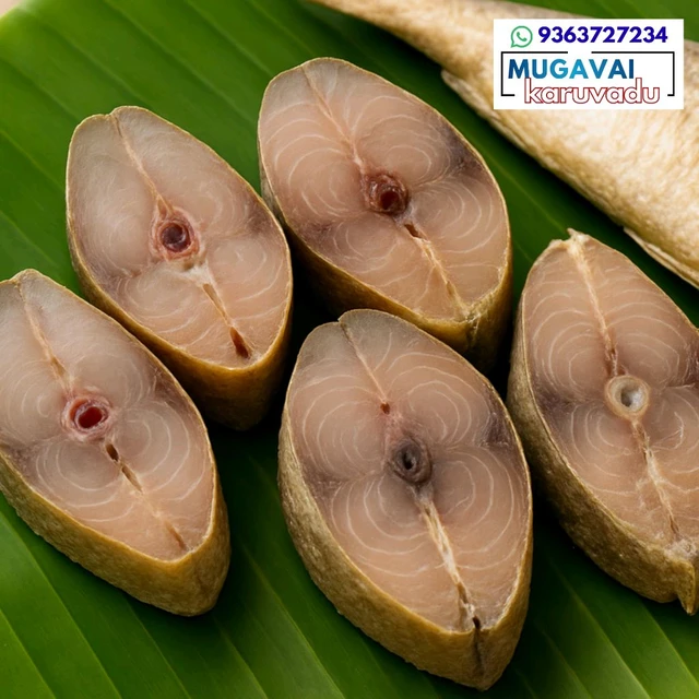 சீலா|Barracuda|ശീലാവ്