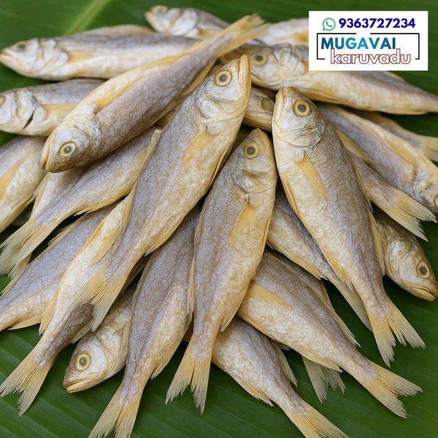 பண்ணா|Croaker|കോര
