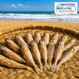 பண்ணா|Croaker|കോര - 250 Grams