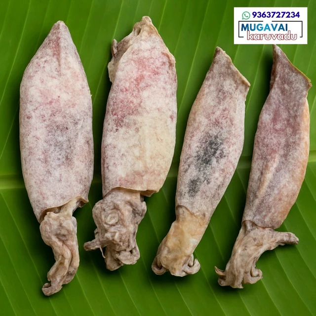 கணவா|Cuttle|കണവ