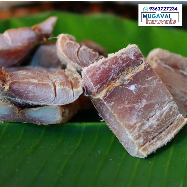 காளா|Indian Salmon|സാൽമൺ