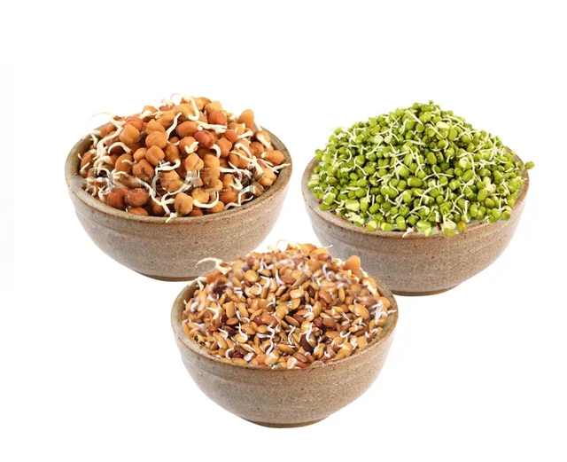 Mixed Sprouts