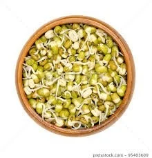 Green Gram Sprouts