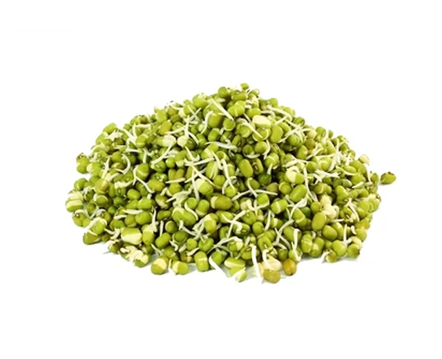 Moong Sprouts