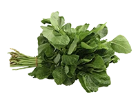 Amarathus Green