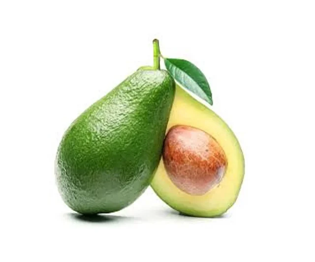 Avocoda Imported