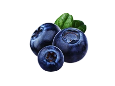 Blueberry Imported