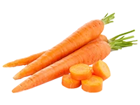 Carrot Ooty