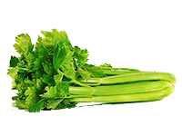 Celery Greens